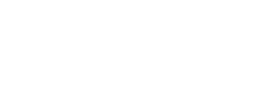Logotip Tiimson